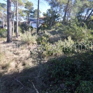 Terreno / Urbanizable En venta Montserrat 69, Mediona