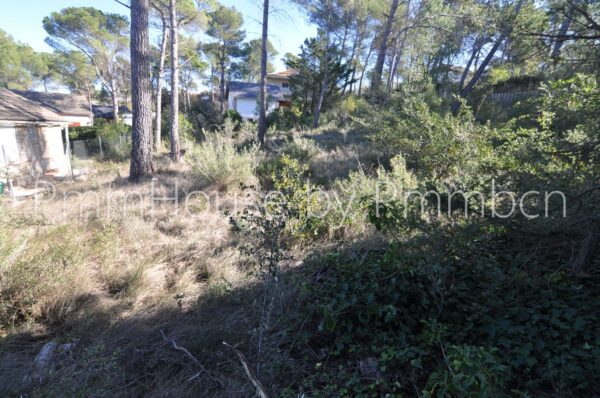 Terreno / Urbanizable En venta Montserrat 69, Mediona