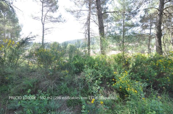 Terreno / Urbanizable En venta La Font del Bosc s/n, Mediona - Imagen 2